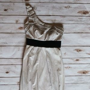 NWT One Shoulder Dress